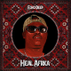 Echo Deep – Heal Africa