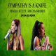 Charli xcx – Sympathy is a knife ft. ariana grande